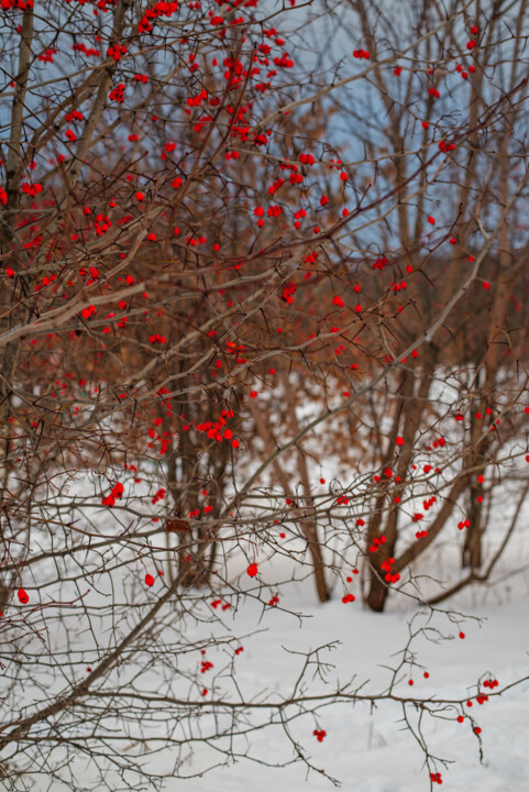 Color therapy Photography, 35.4x23.6 in