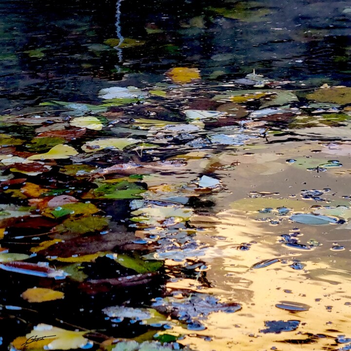 摄影 标题为“Reflets d'automne,…” 由Sylvie Chapuis, 原创艺术品, 非操纵摄影