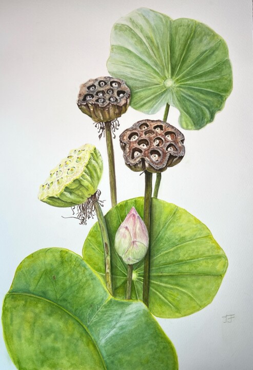 NATURES'S MEDITATION - LOTUS Painting, 22.4x15 in