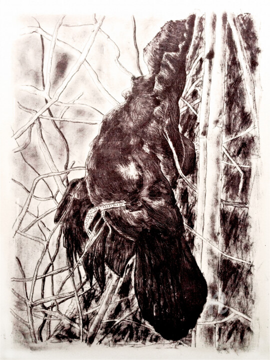 Krähe - Crow 印花与版画, 23.2x16.3 in