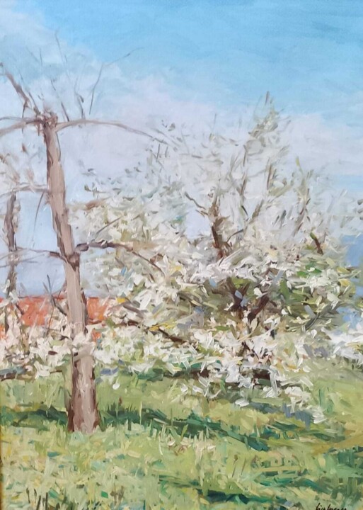 Ciliegi in fiore a Solopaca (Benevento) Pittura, 23,6x17,7 in