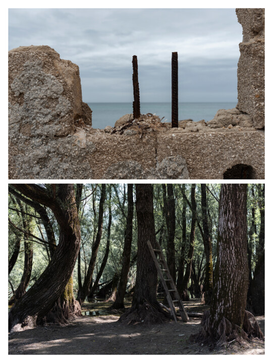 Fotografia,  26,4x35 in 