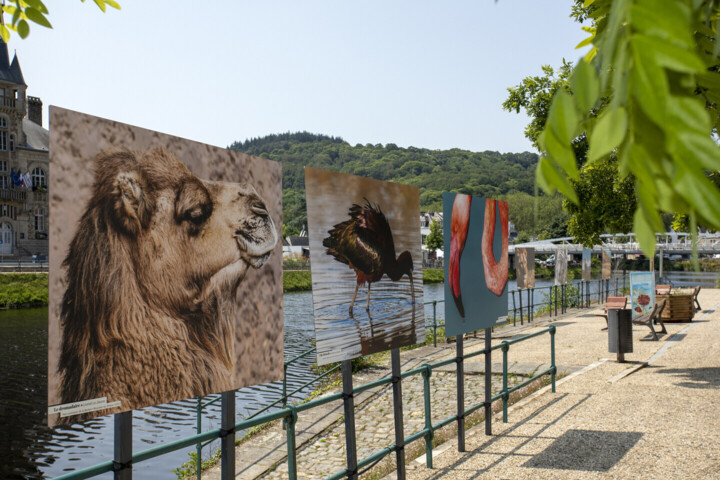 Durumdaki sanat eseri