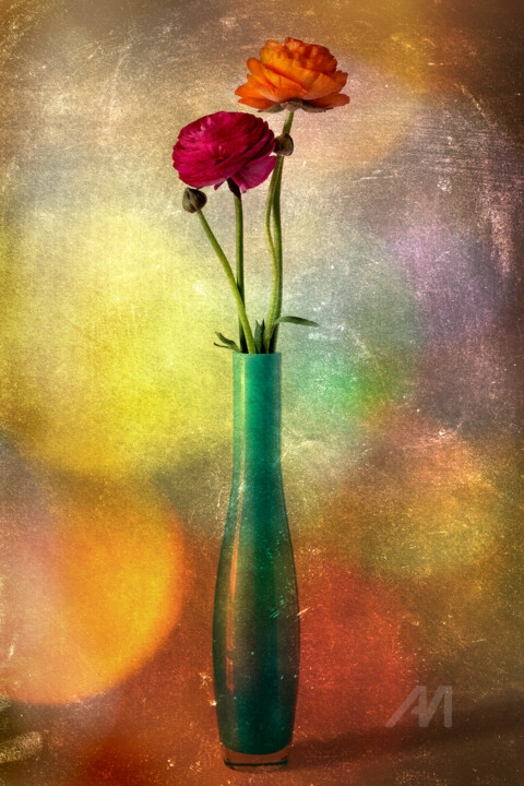 Colorfully buttercups 摄影