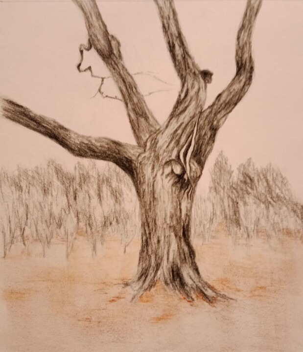 Drawing titled "no title" by Liudmila Rabinovich, Original Artwork, Charcoal