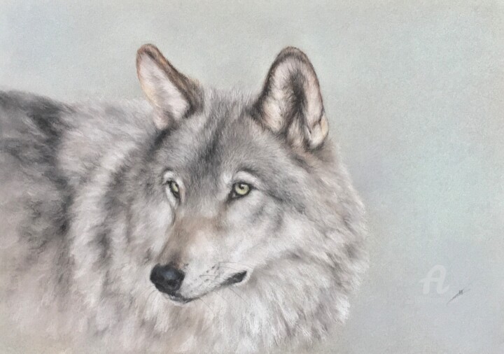 Green-eyed Resim, 9,8x13,4 in