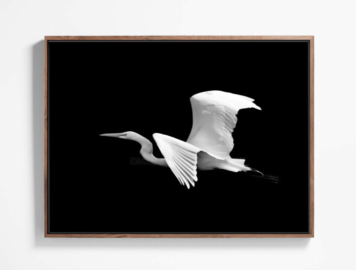 Work presented framed
