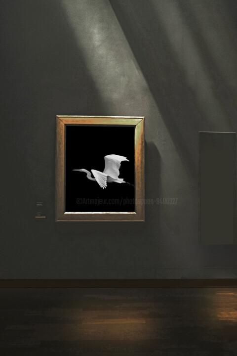 Artwork in situation