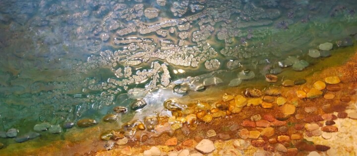 Surface ou texture de l'œuvre