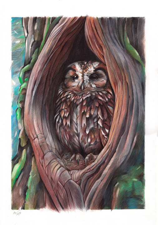 The Hollow Within 图画, 19.7x13.8 in