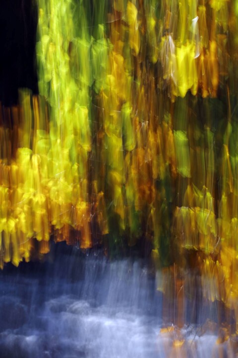 Feuillu sur le Chéran Fotoğraf, 35,4x23,6 in