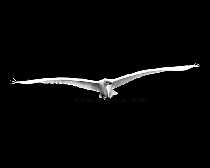 Photography titled "11 Glissade" by Photospoon, Original Artwork, Digital Photography
