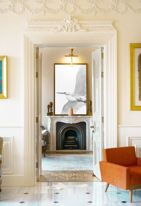 Artwork in situation