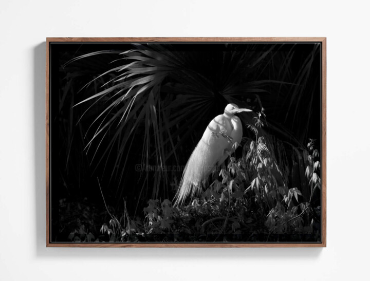 Work presented framed