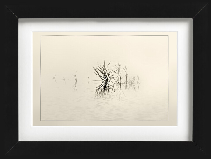 Work presented framed