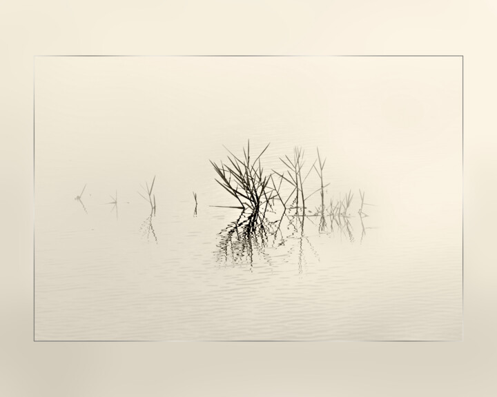 Photography titled "Tranquility" by Photospoon, Original Artwork, Digital Photography