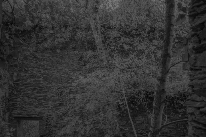 Ni blanc, ni noir 1 Fotoğraf, 11,8x15,8 in