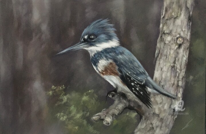 Belted Kingfisher 图画, 7.9x11.8 in