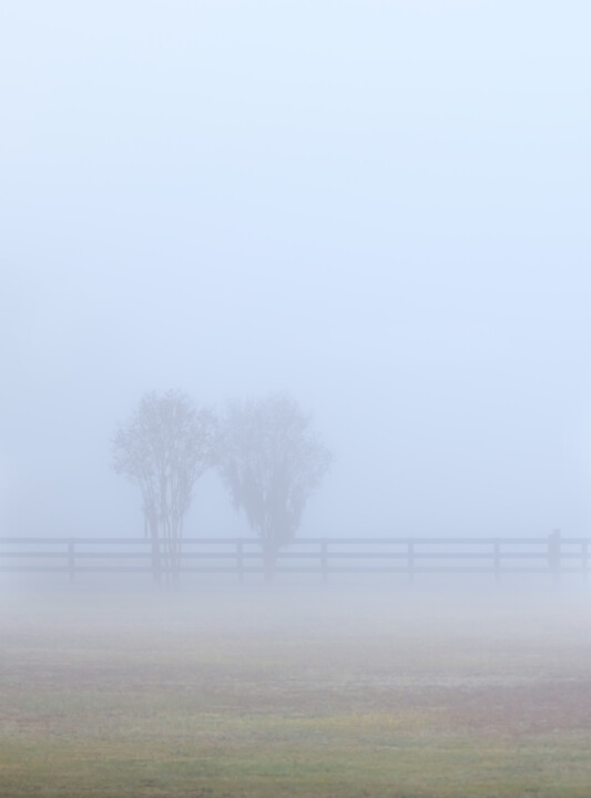Photography titled "Fog A - set of two" by Photospoon, Original Artwork, Digital Photography Mounted on artwork_cat.