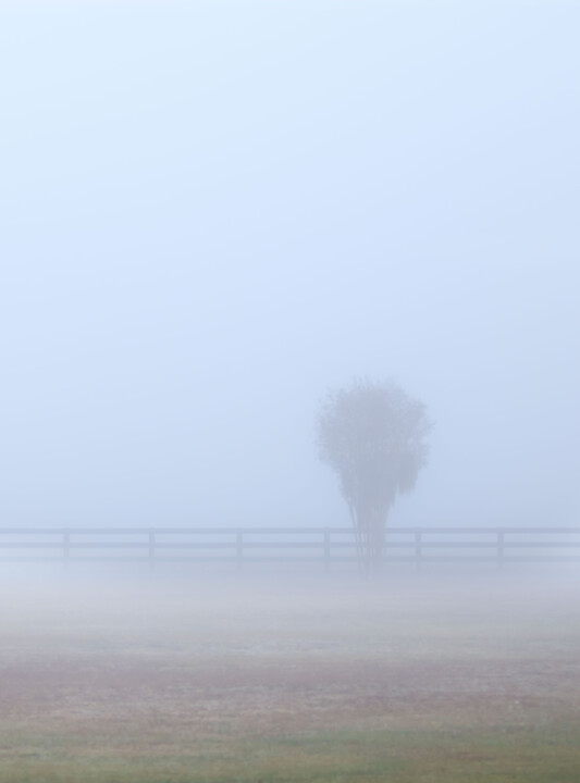 Photography titled "Fog B - set of two" by Photospoon, Original Artwork, Digital Photography
