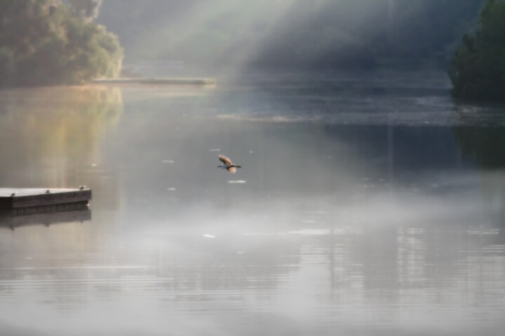 Photography titled "Vol Doux" by Photospoon, Original Artwork, Digital Photography