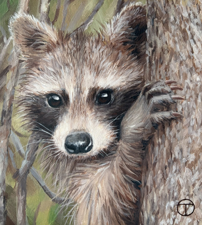Raccoon 2 绘画, 7.9x7.1 in