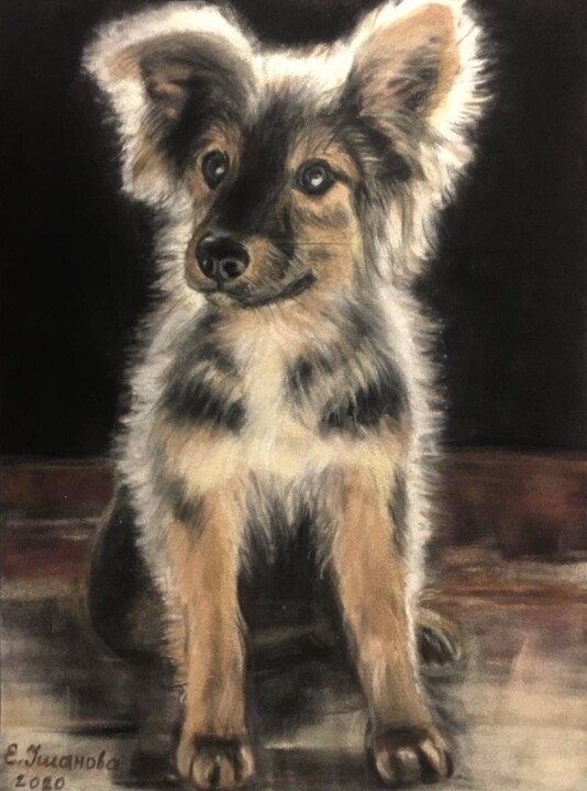Little puppy Drawing, 14.6x11 in