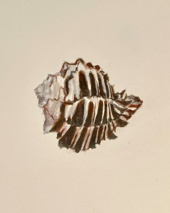 Sea Shell 2 Malarstwo, 6x6 in