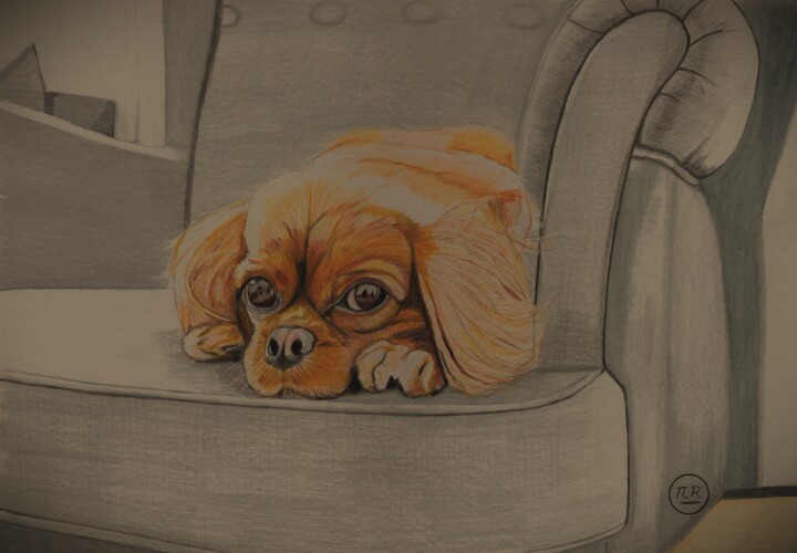 Dog cocooning 图画, 11x15.8 in