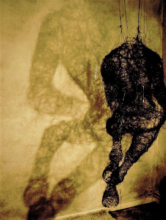 Sculpture titled "Der Zentaur" by Susanne Jörgen, Original Artwork, Wire