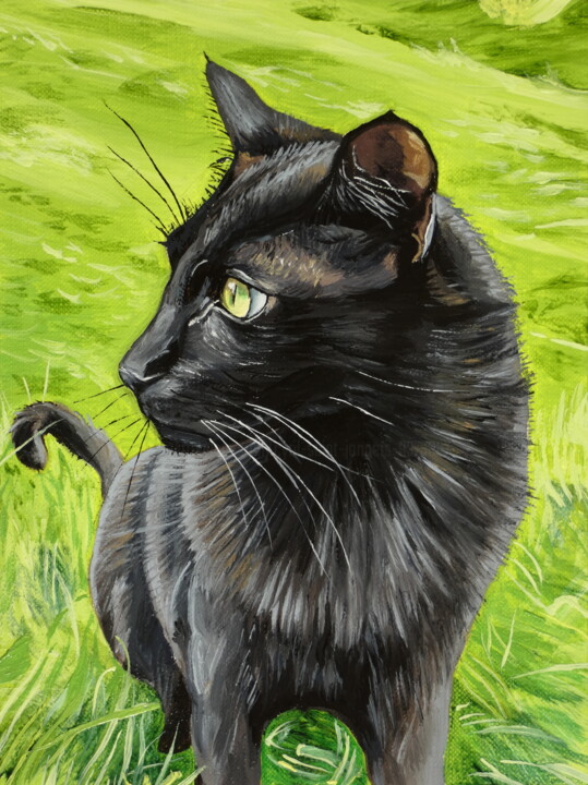 Bagherra 绘画, 7.9x5.5 in