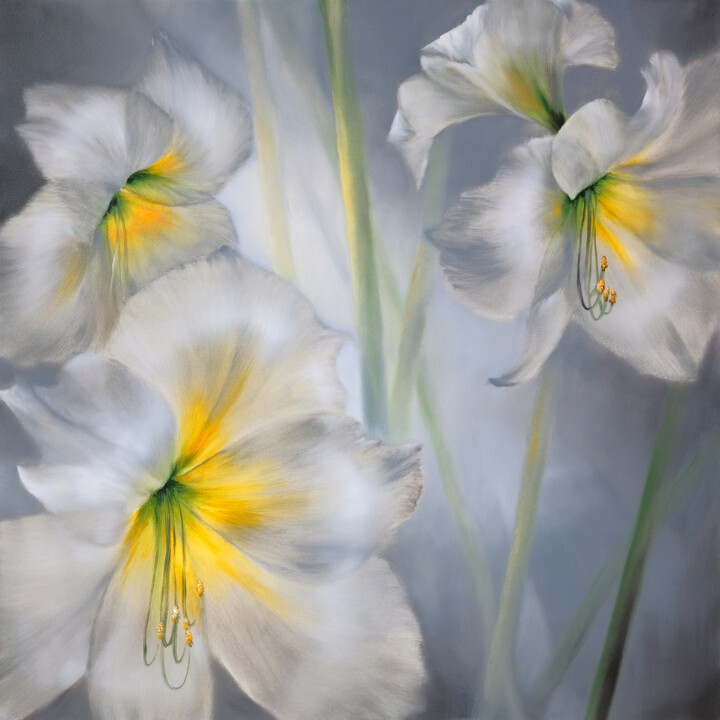Weiße Amaryllis 绘画, 39.4x39.4 in