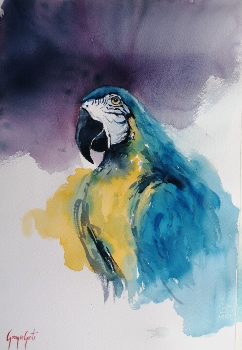 parrot 8 绘画, 20.9x13.8 in