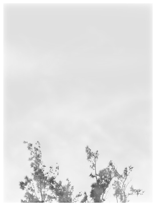 Photography titled "Mist Meadow 2" by Photospoon, Original Artwork, Digital Photography