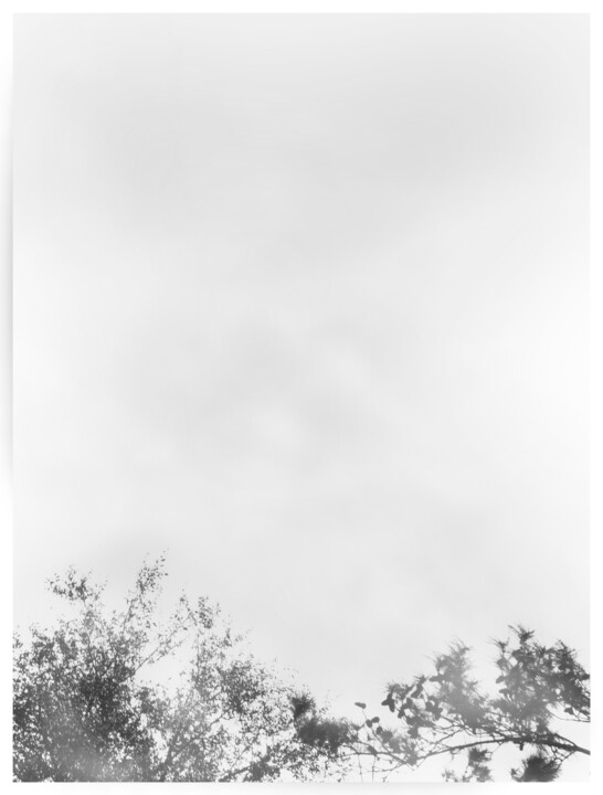 Photography titled "Mist Meadow 1" by Photospoon, Original Artwork, Digital Photography
