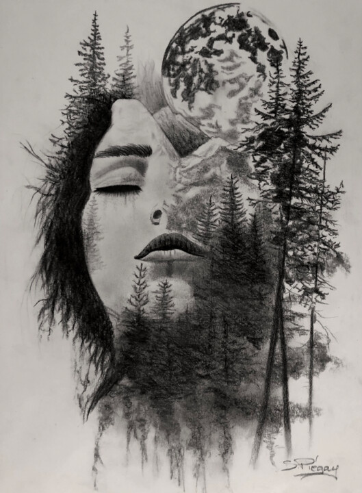 图画 标题为“pensée montagnarde” 由Sandrine Piegay, 原创艺术品, 石墨