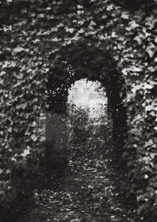 Door Fotoğraf
