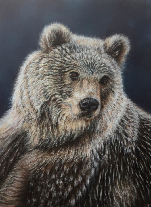 Ours/Bear 绘画, 12.2x9.5 in