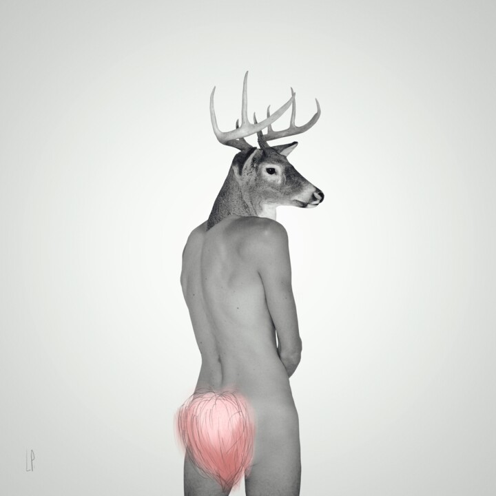 摄影 