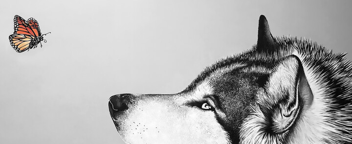 Printmaking titled "Lupo con farfalla" by Davide Capriata, Original Artwork, Digital Print