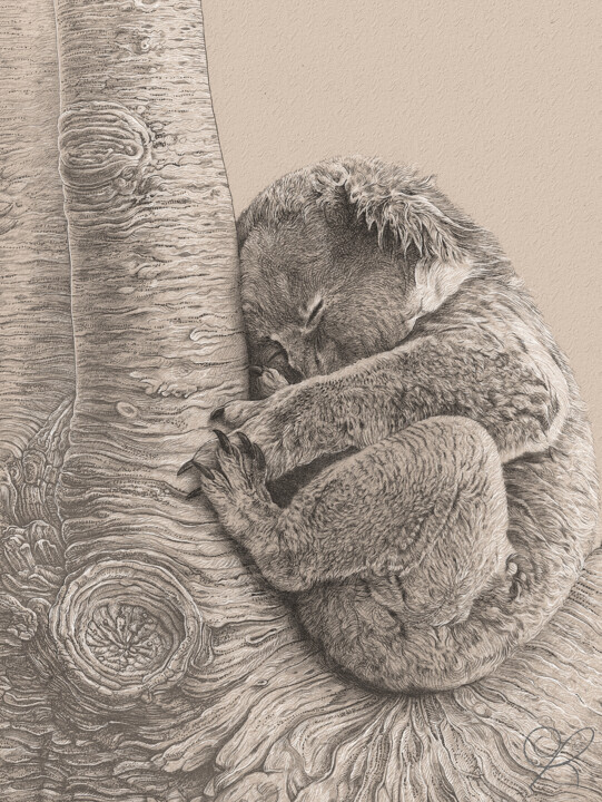 Koala Dijital Sanat, 15,8x11,8 in