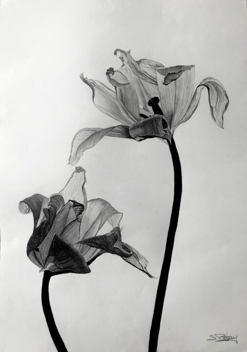 Rencontre florales Resim, 33,1x23,2 in