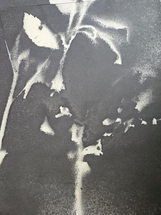 其他意见 5
