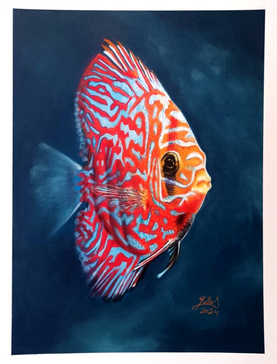 Discus 图画, 15.8x11.8 in