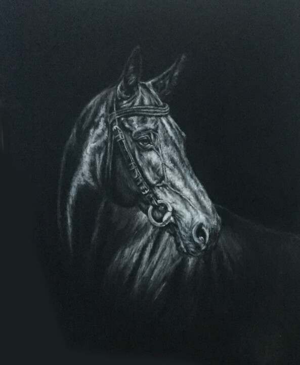 Cheval/Horse 绘画
