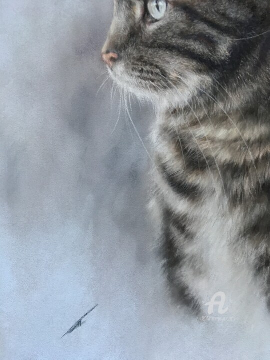签名