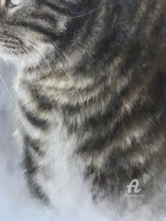 细节