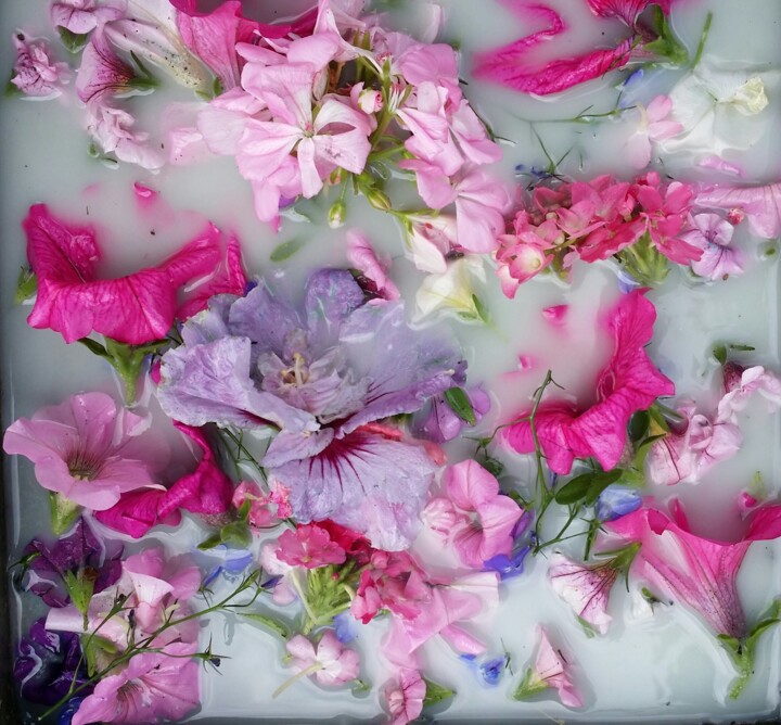 bloemenfantasie 사진