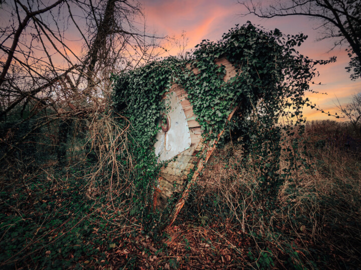 Le vieux loup 3/4 Fotografia