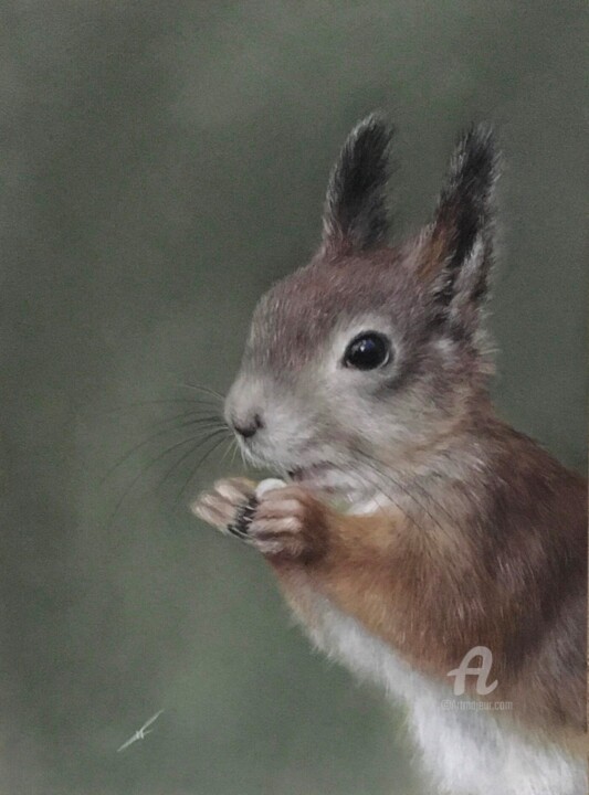 Resim,  10,6x7,9 in 